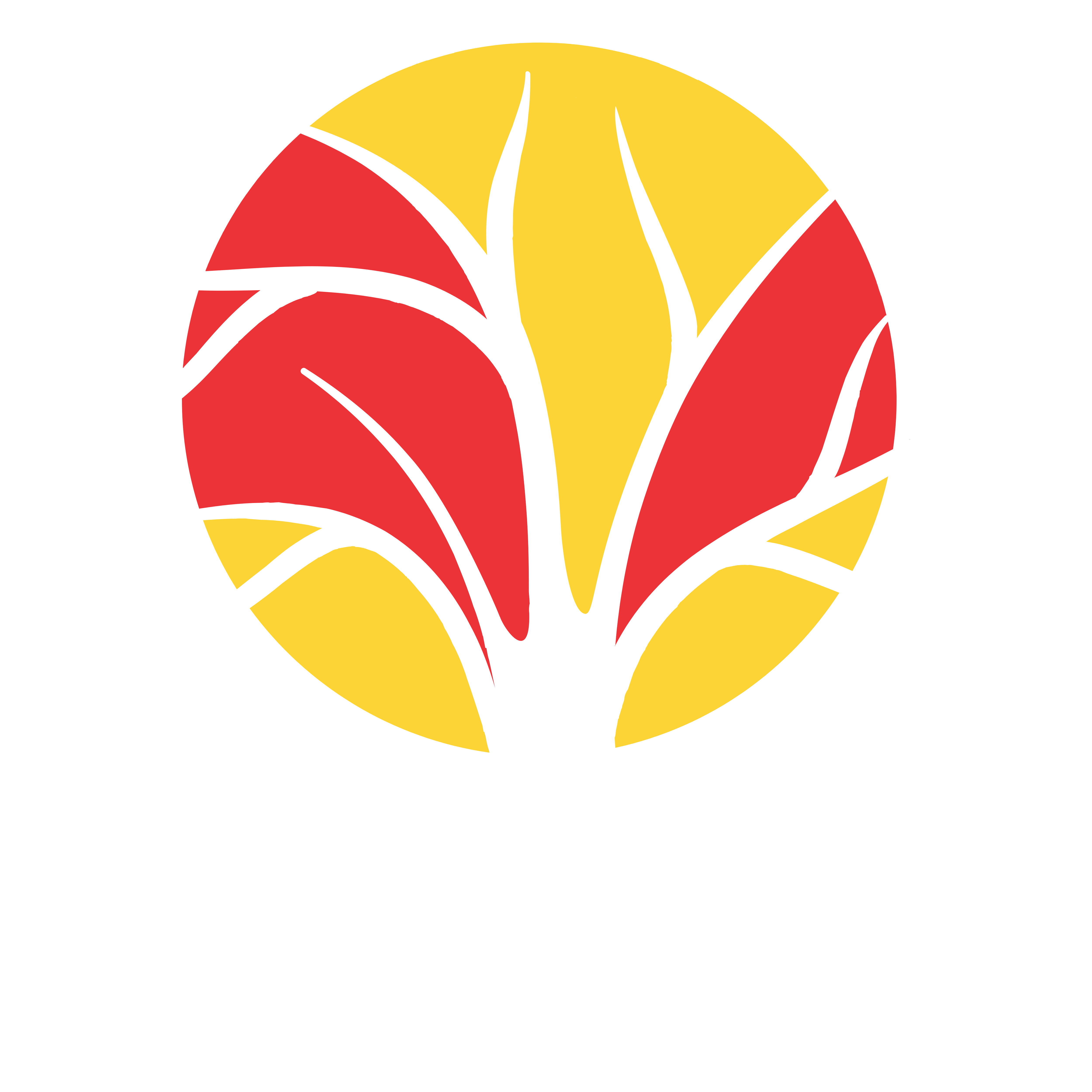 Docere